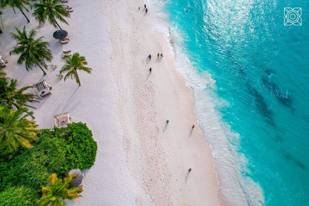 Zanzibar, perle de l'océan Indien-Image