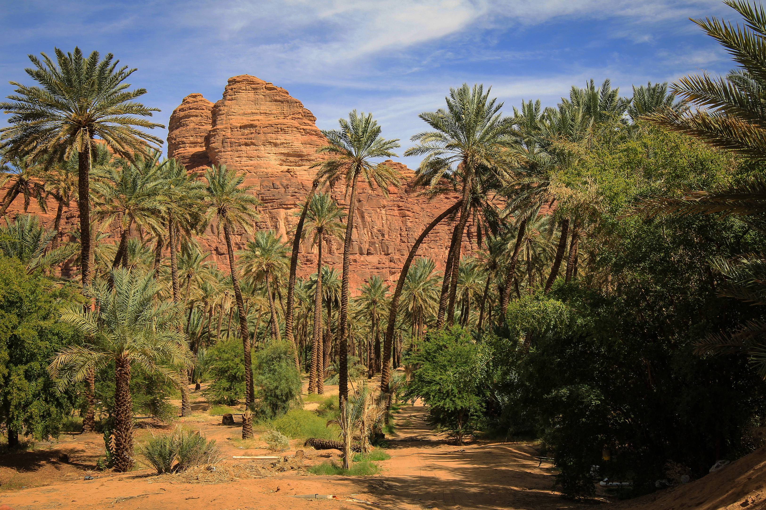 Un long week end à AlUla :  élégance et trésor de l'Arabie-Image