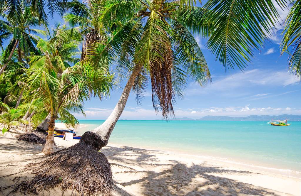 D'île en île au cœur de l'archipel de Koh Samui-Image
