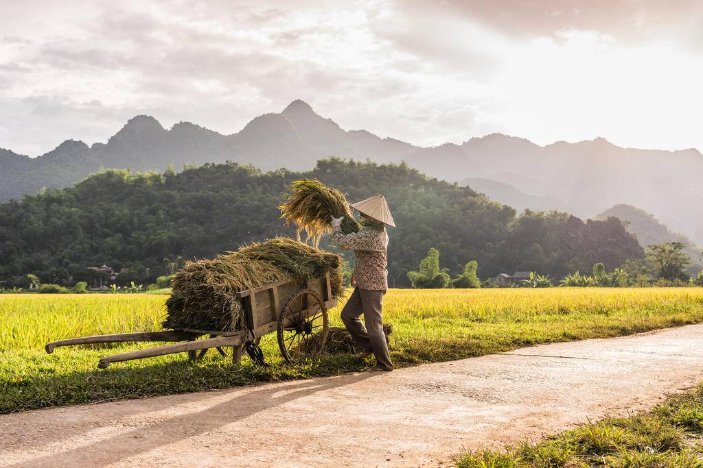 Le Vietnam intime-Image