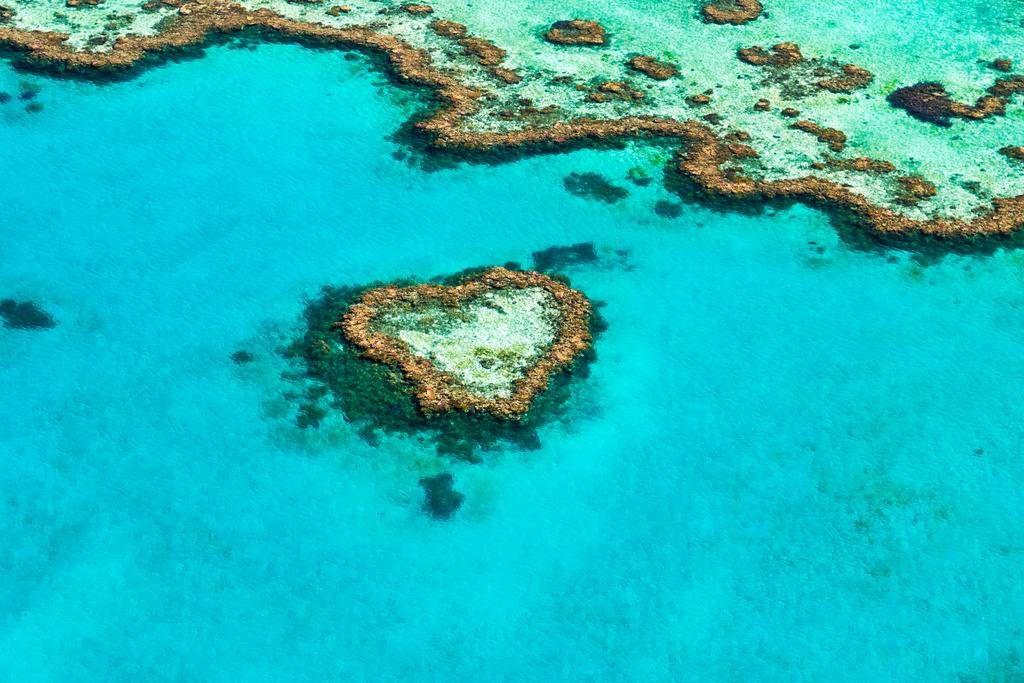 Voyage de noces en Australie-Image