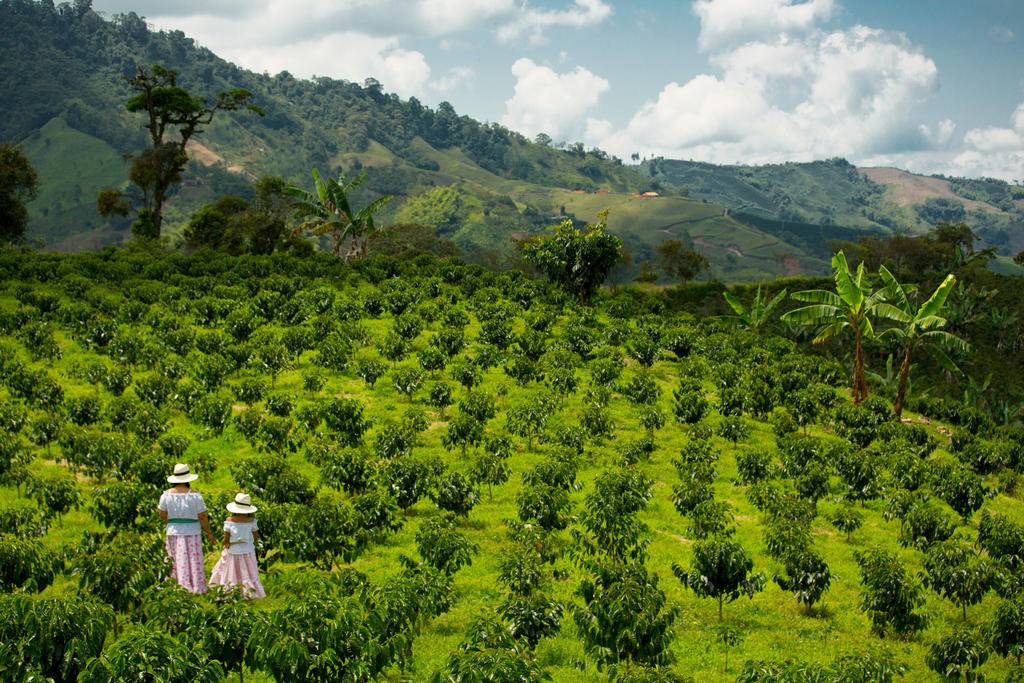 Colombie, en terre solidaire-Image