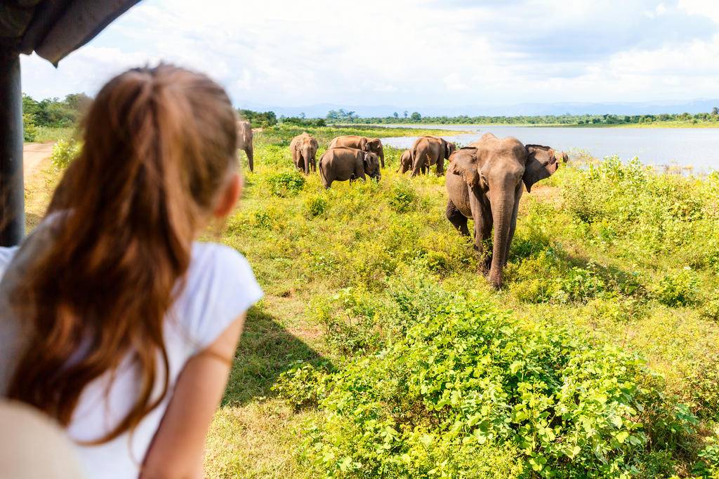 Bouddhas géants et éléphants, un été en famille à Ceylan-Image