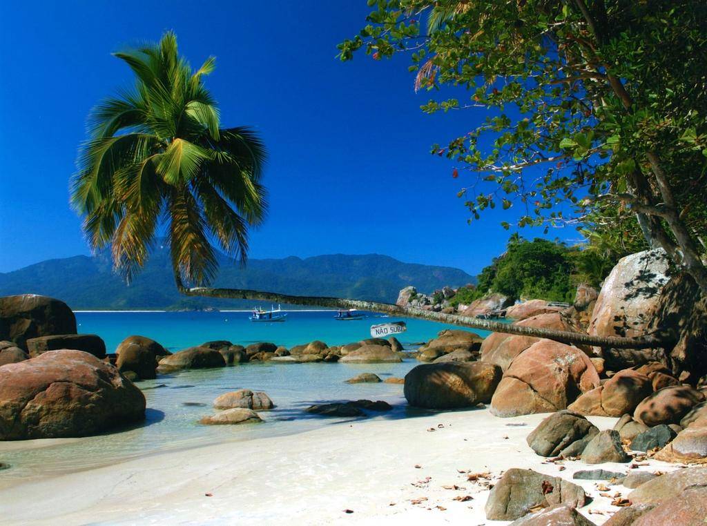 Trio irrésistible du sud Brésil-Image