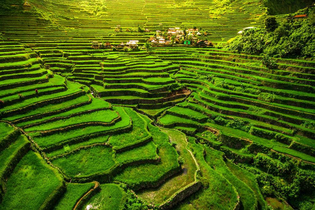 Rizières de Banaue et plages de Puerto Galera-Image