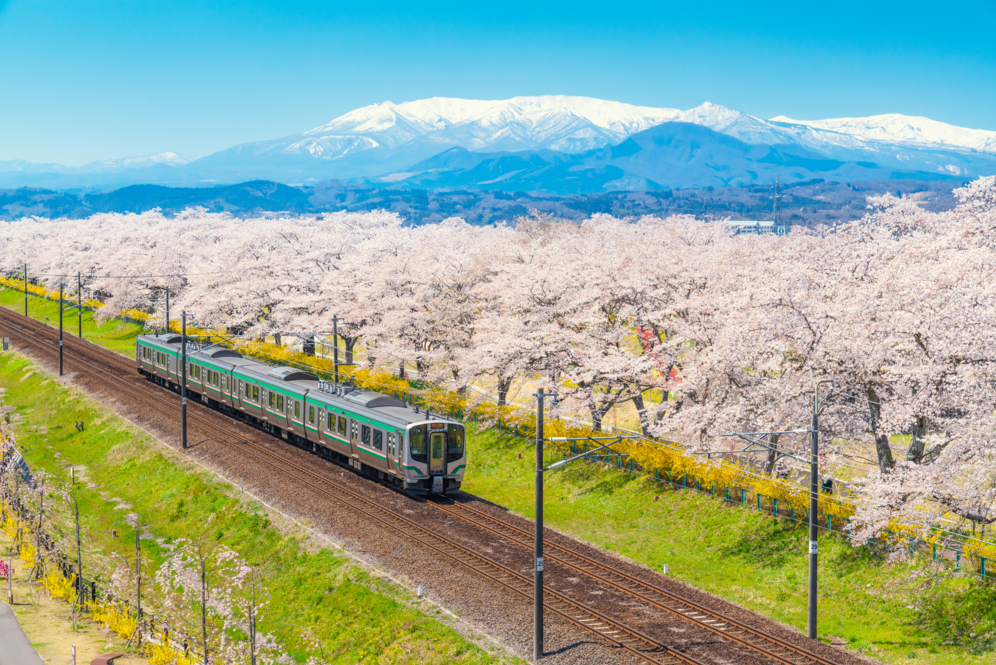 Japon confidentiel, du Tohoku à Hokkaido-Image