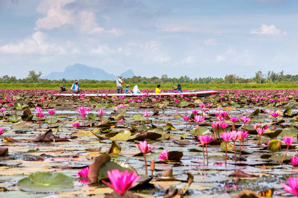 Les provinces oubliées du sud de la Thaïlande-Image