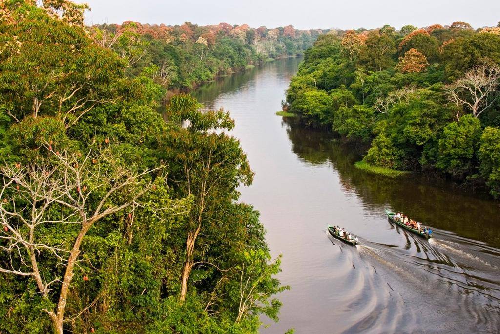 Amazonie, Amazonies-Image