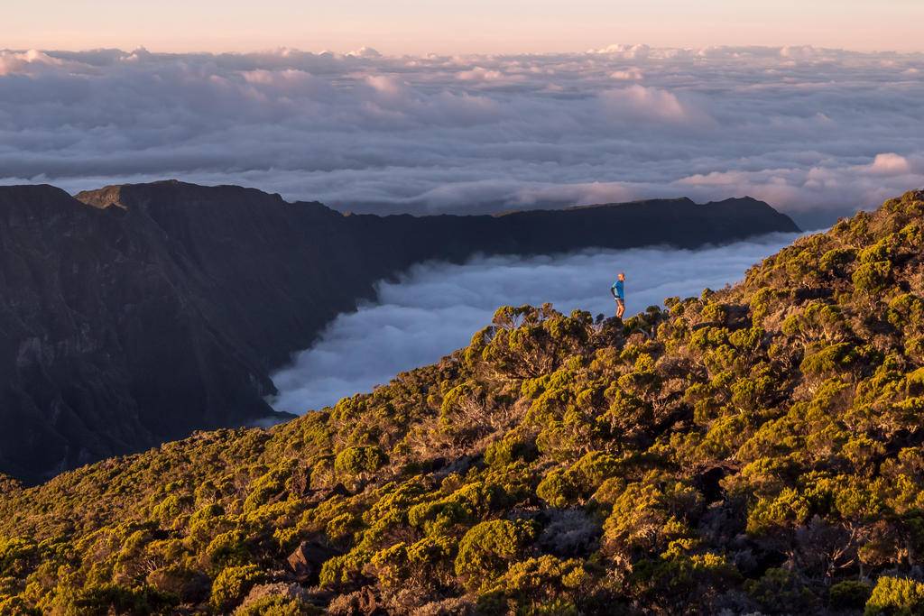 Sentiers sauvages de La Réunion-Image