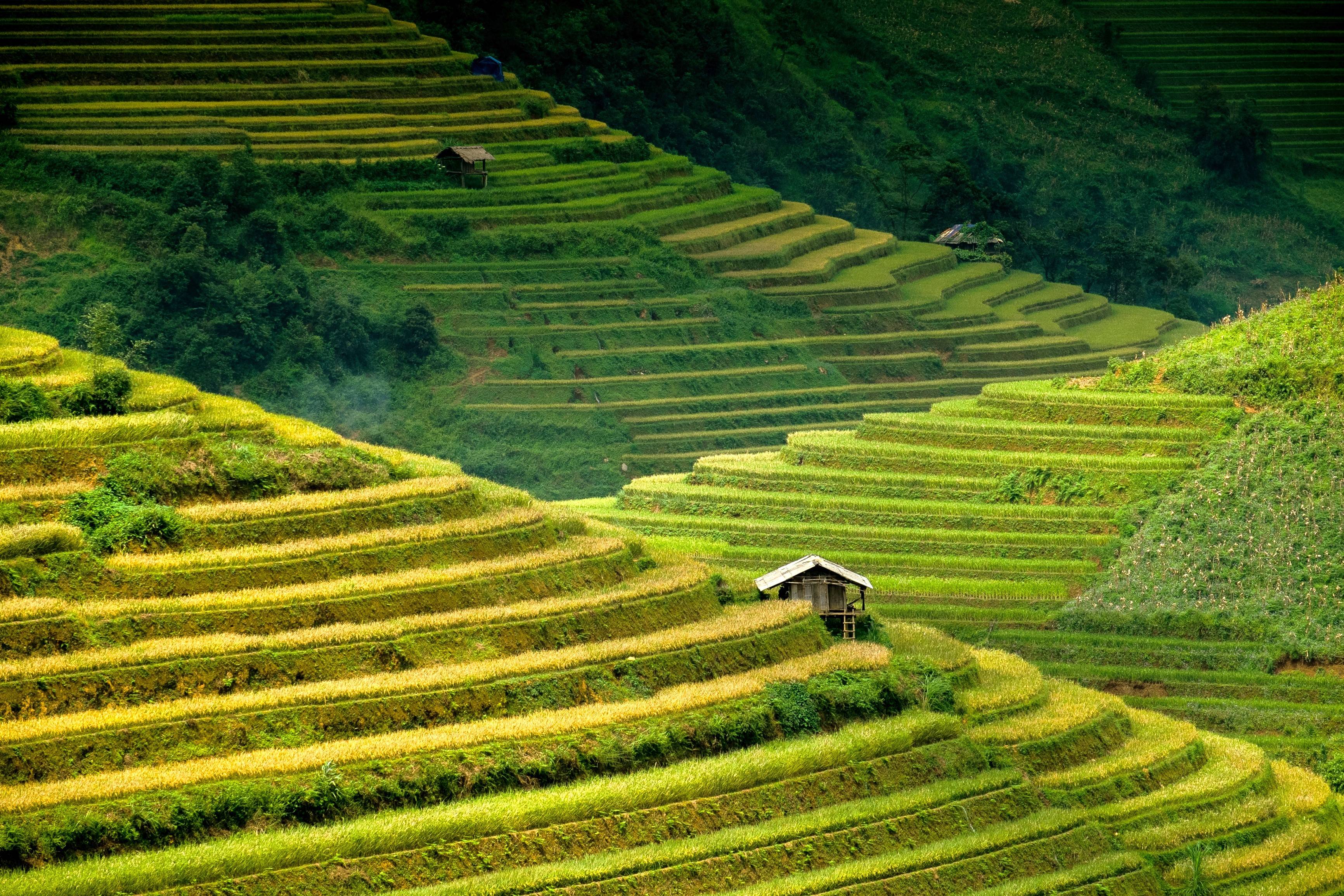Paysages spectaculaires du Nord Vietnam-Image