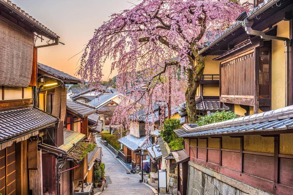 Tokyo et Kyoto, un duo incontournable-Image