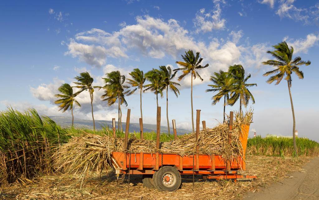 La Réunion, charme et authenticité-Image