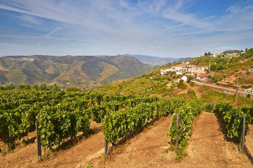 Douro épicurien en toute liberté-Image
