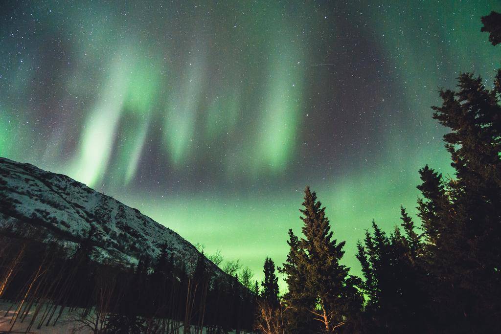 Aventures Boréales au Yukon-Image