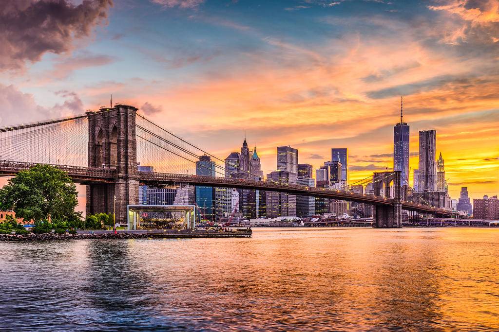 New York New York-Image
