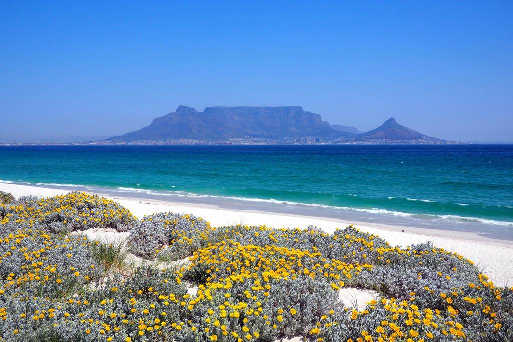 Afrique du Sud essentielle : Cape Town et safaris à Mabula-Image