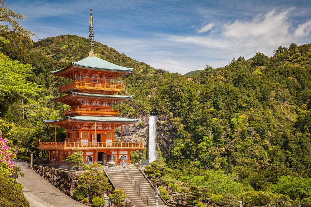 Immersion japonaise-Image