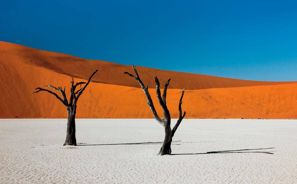 Road trip en lodges de charme-Image