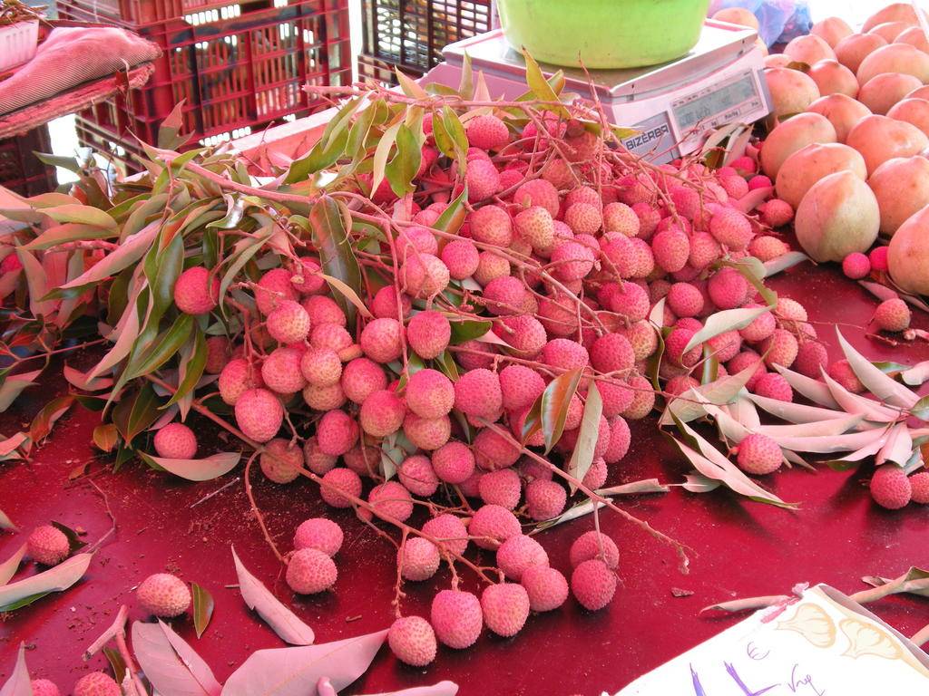 Autotour à la Réunion : de St-Denis au Sud sauvage -Image