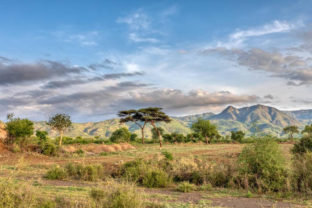 Voyage en Afrique du Sud : grands espaces en liberté -Image