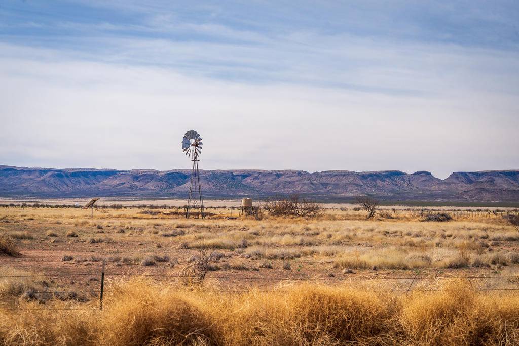 Les charmes du Texas-Image