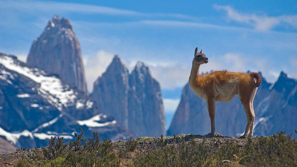 La grande boucle de la Patagonie-Image
