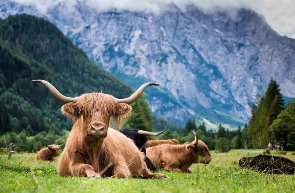 Slovénie, plus vraie que nature-Image