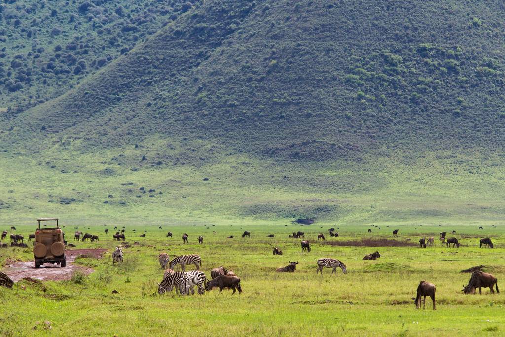 Voyage en Tanzanie et Zanzibar, safaris et sable doré-Image