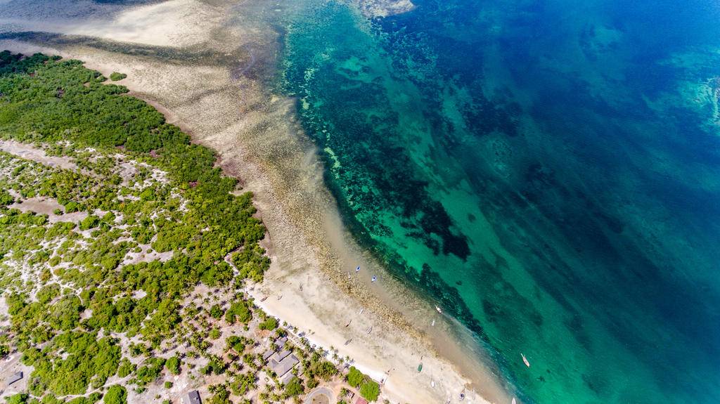 Du Selous à l'île de Mafia : la Tanzanie autrement -Image