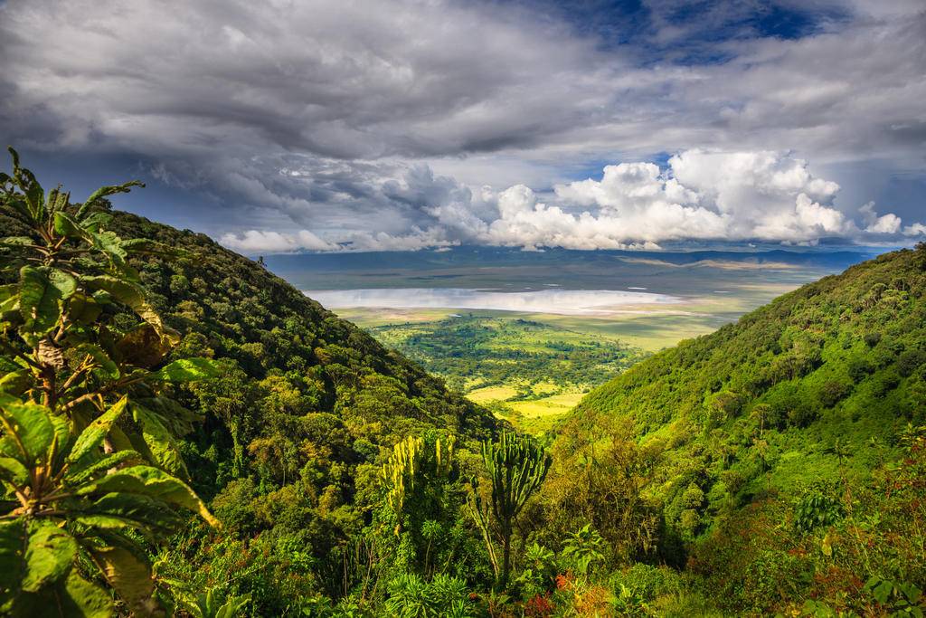 Tanzanie, trio naturel et douceur corallienne-Image