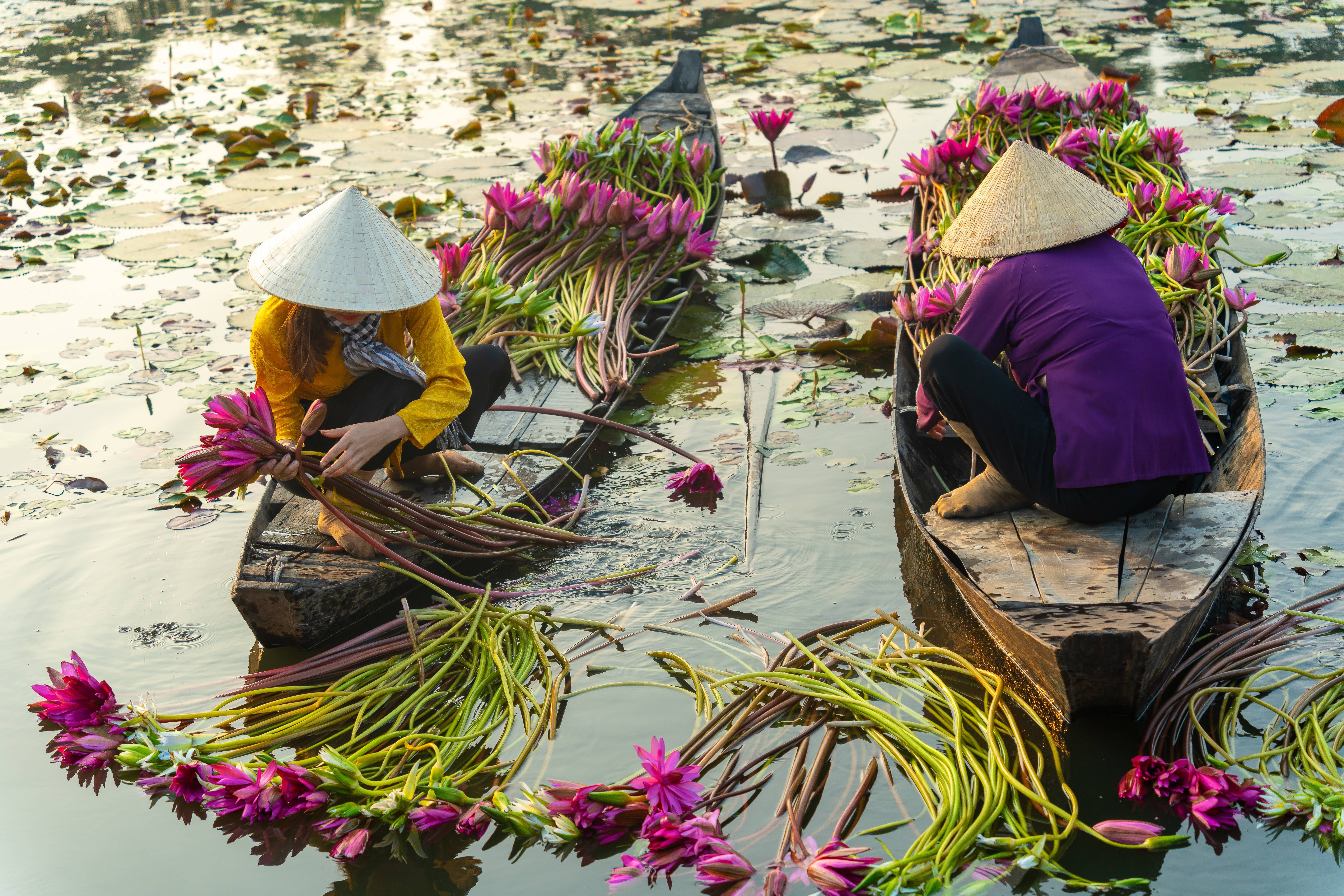 Delta du Mékong, immersion vietnamienne-Image