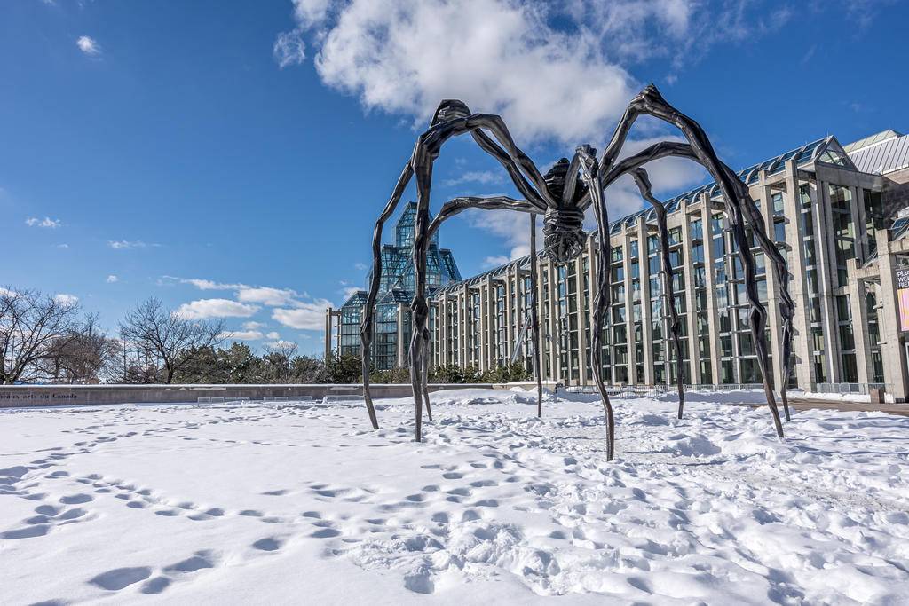 Un hiver arty en Ontario -Image