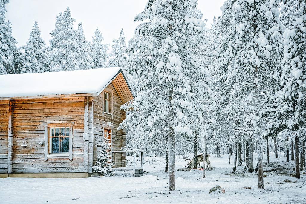 Finlande et Norvège, une aventure au bout du monde-Image