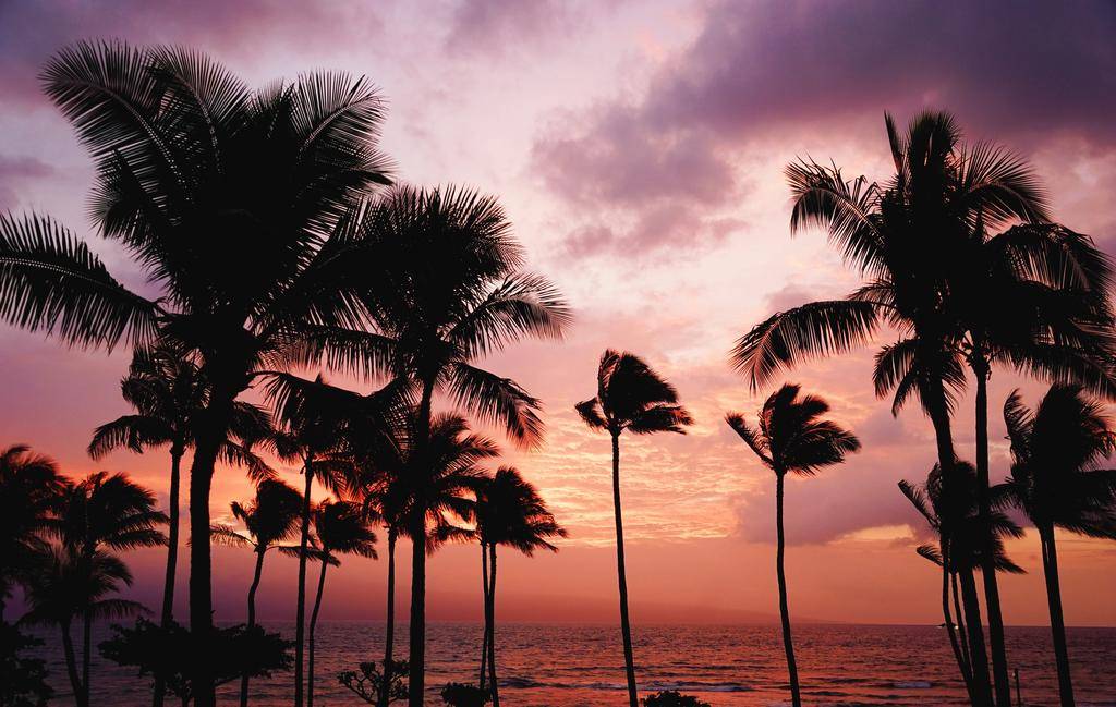 Aloha Californie, de Los Angeles aux merveilles d'Hawaii-Image