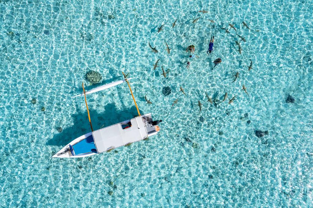 Plongées en Polynésie-Image