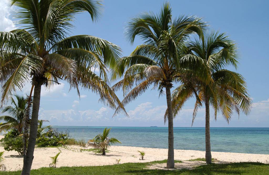 Séjour aux Bahamas au Viva Wyndham Fortuna Beach-Image