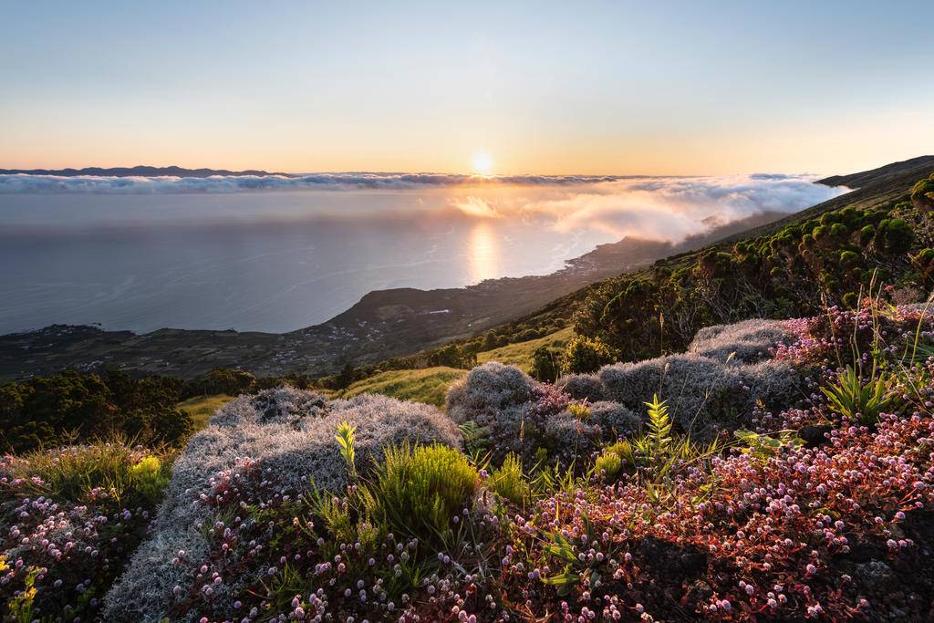 Açores, l'archipel inattendu -Image