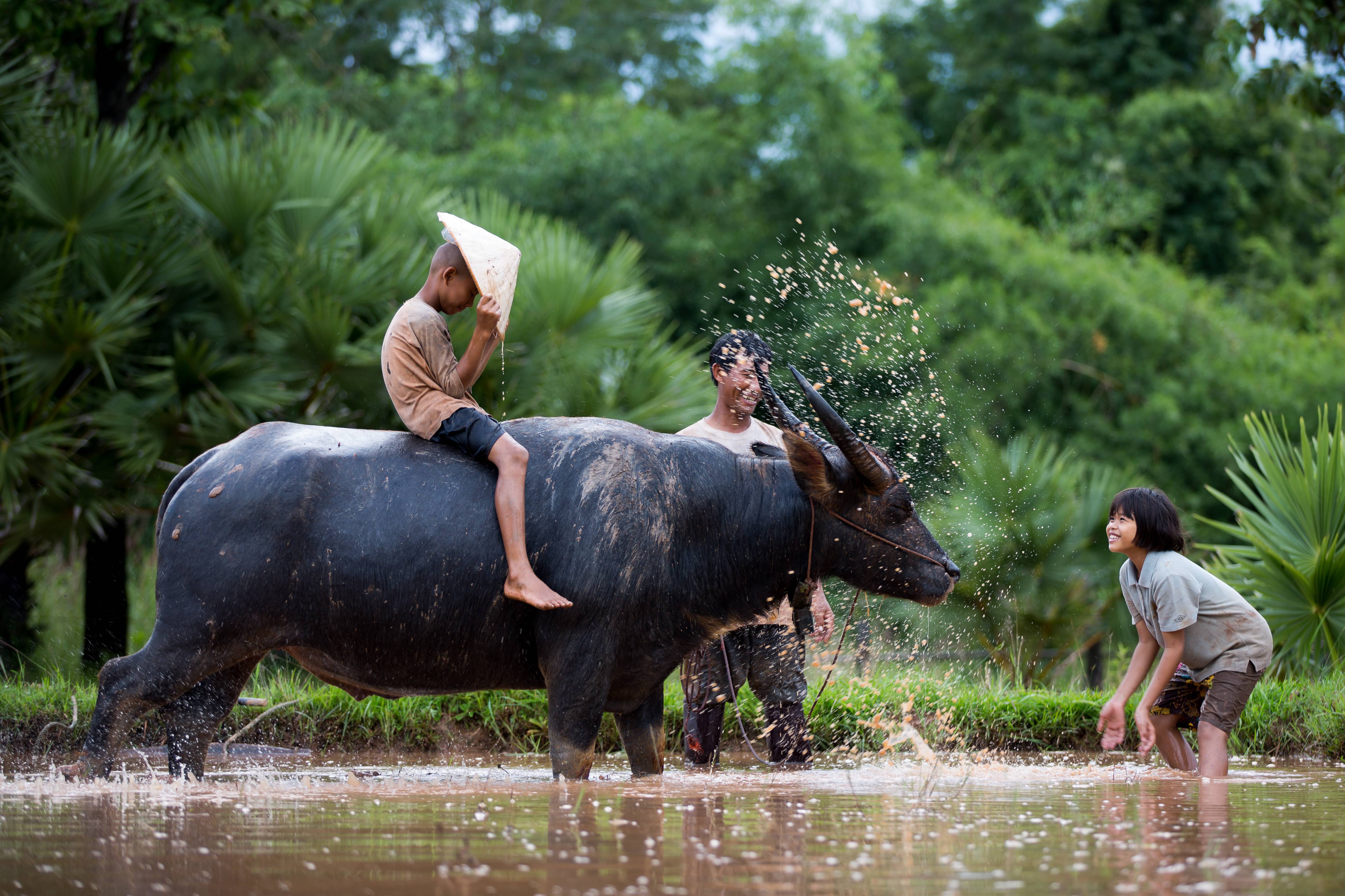 Balade au Vietnam en famille-Image