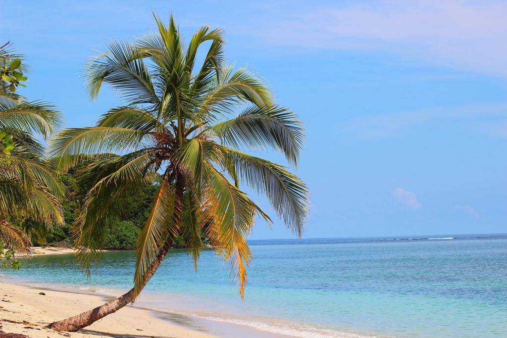 Des Caraïbes au Pacifique-Image