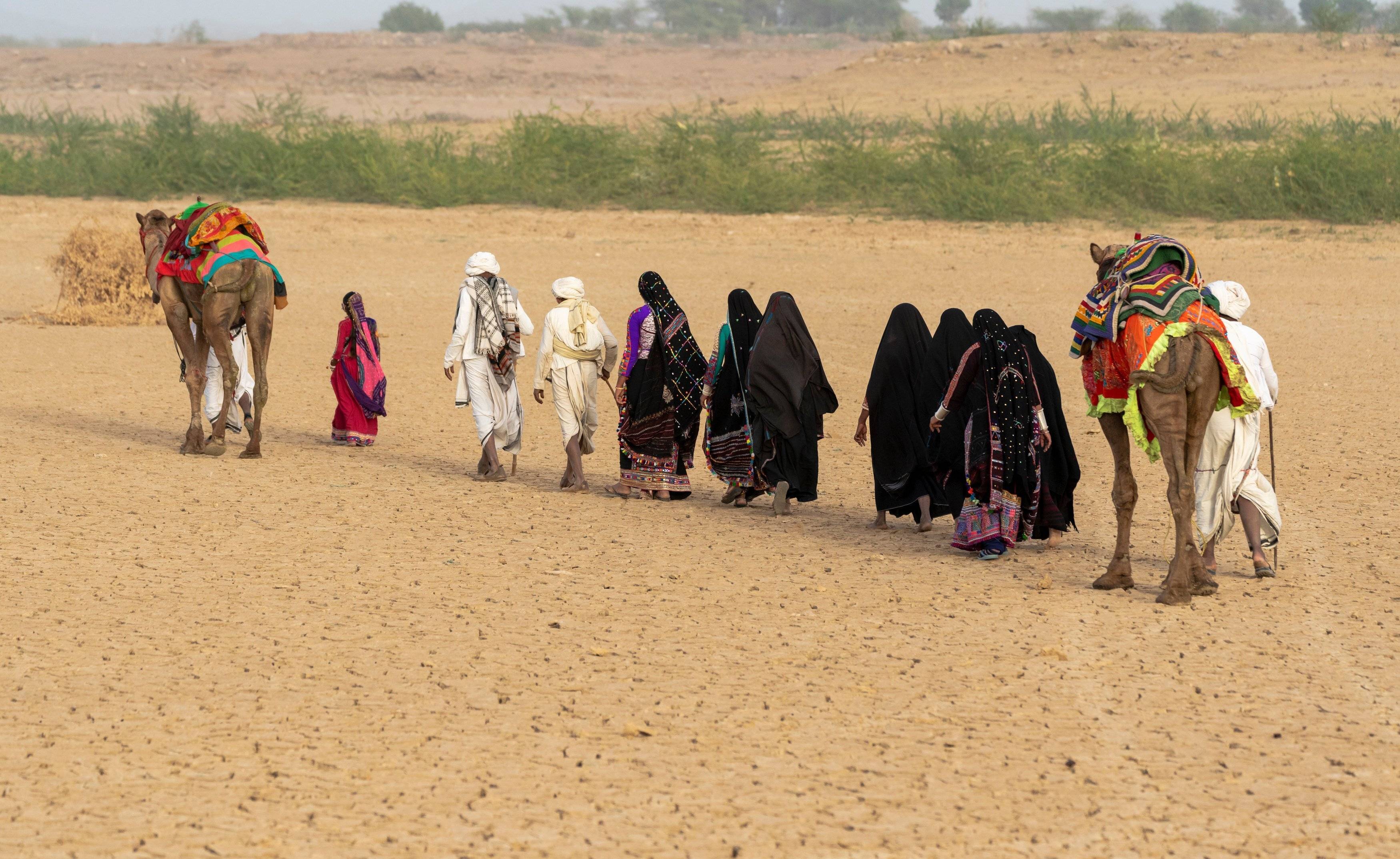 Gujarat, de sanctuaires en villages-Image