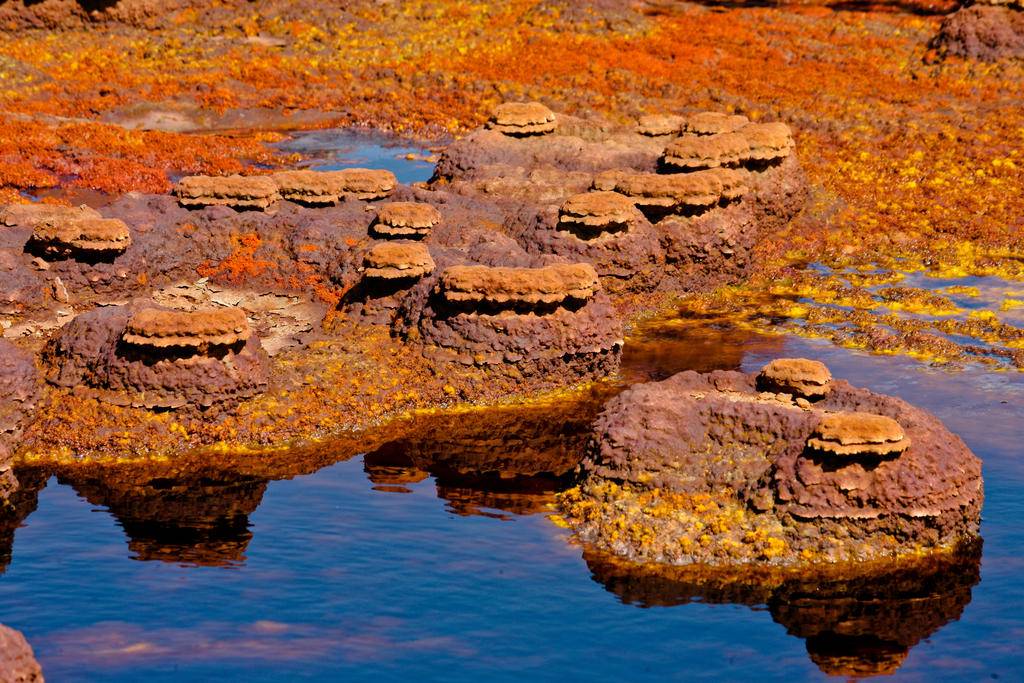 Extension Dallol et Erta Ale, les entrailles de la terre-Image