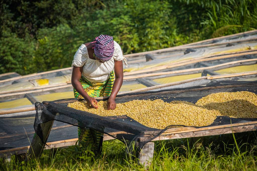 Aventure rwandaise entre culture et nature-Image
