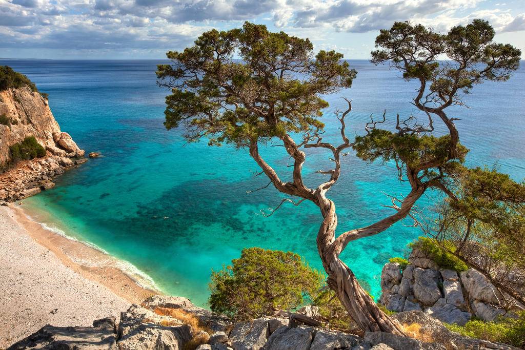 Toute la Sardaigne-Image