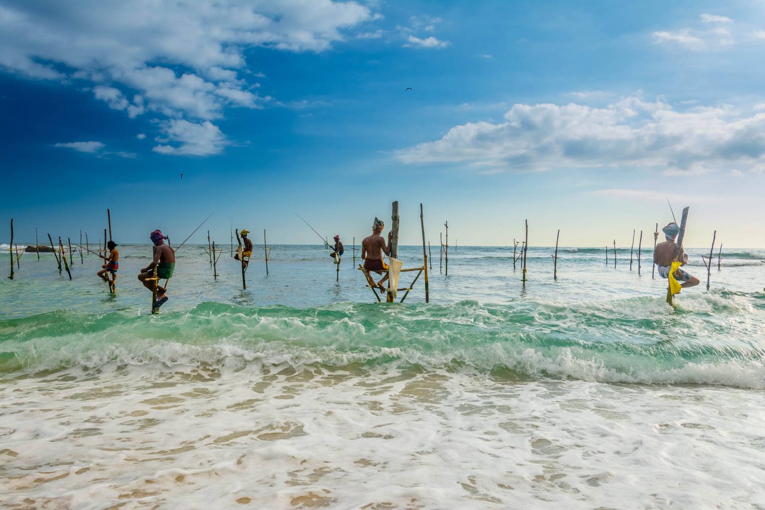 Le Sri Lanka entre amis -Image