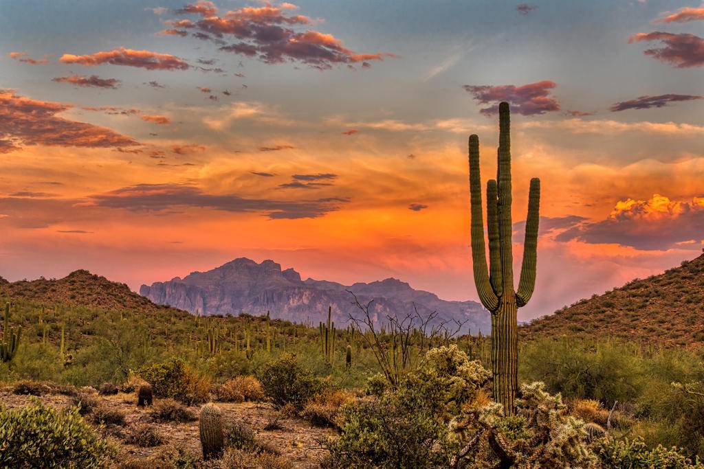 Arizona, la route des pionniers-Image