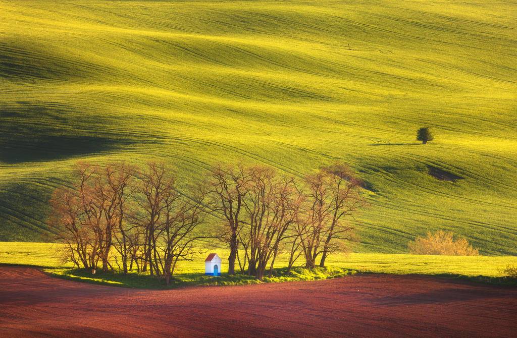 Chemins de Moravie-Image
