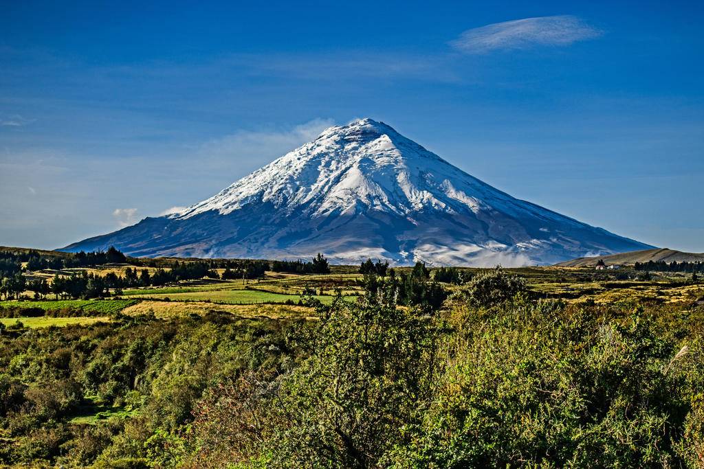 Sésame pour l'Equateur-Image