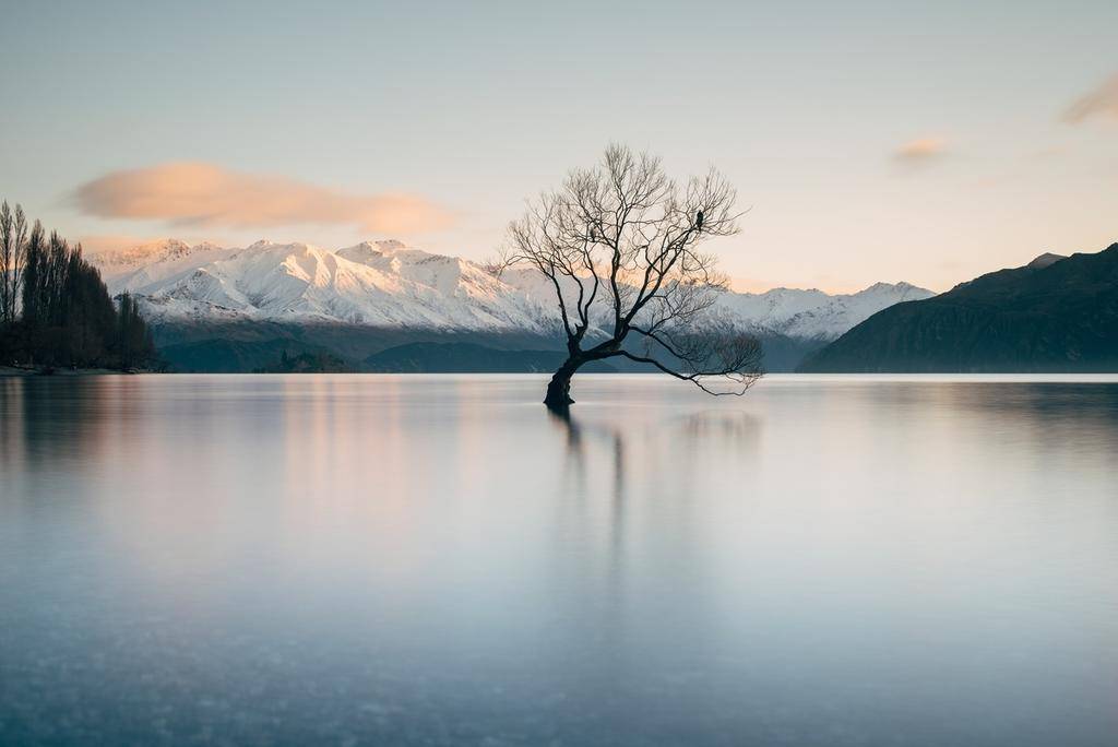 Nouvelle-Zélande : l'Île du Sud entre fjords et glaciers-Image