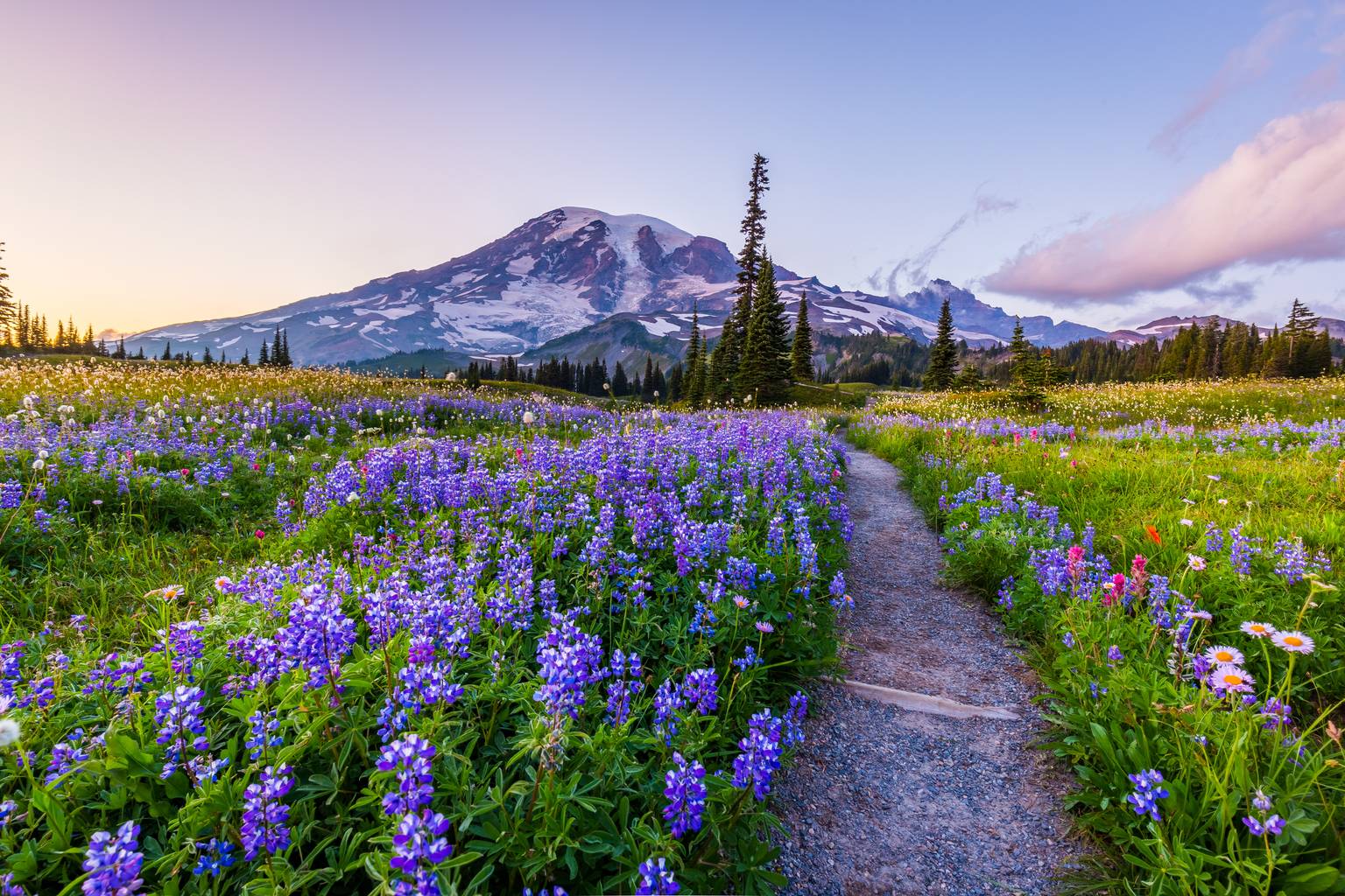 Washington et Oregon, les charmes du Nord-Ouest Pacifique-Image
