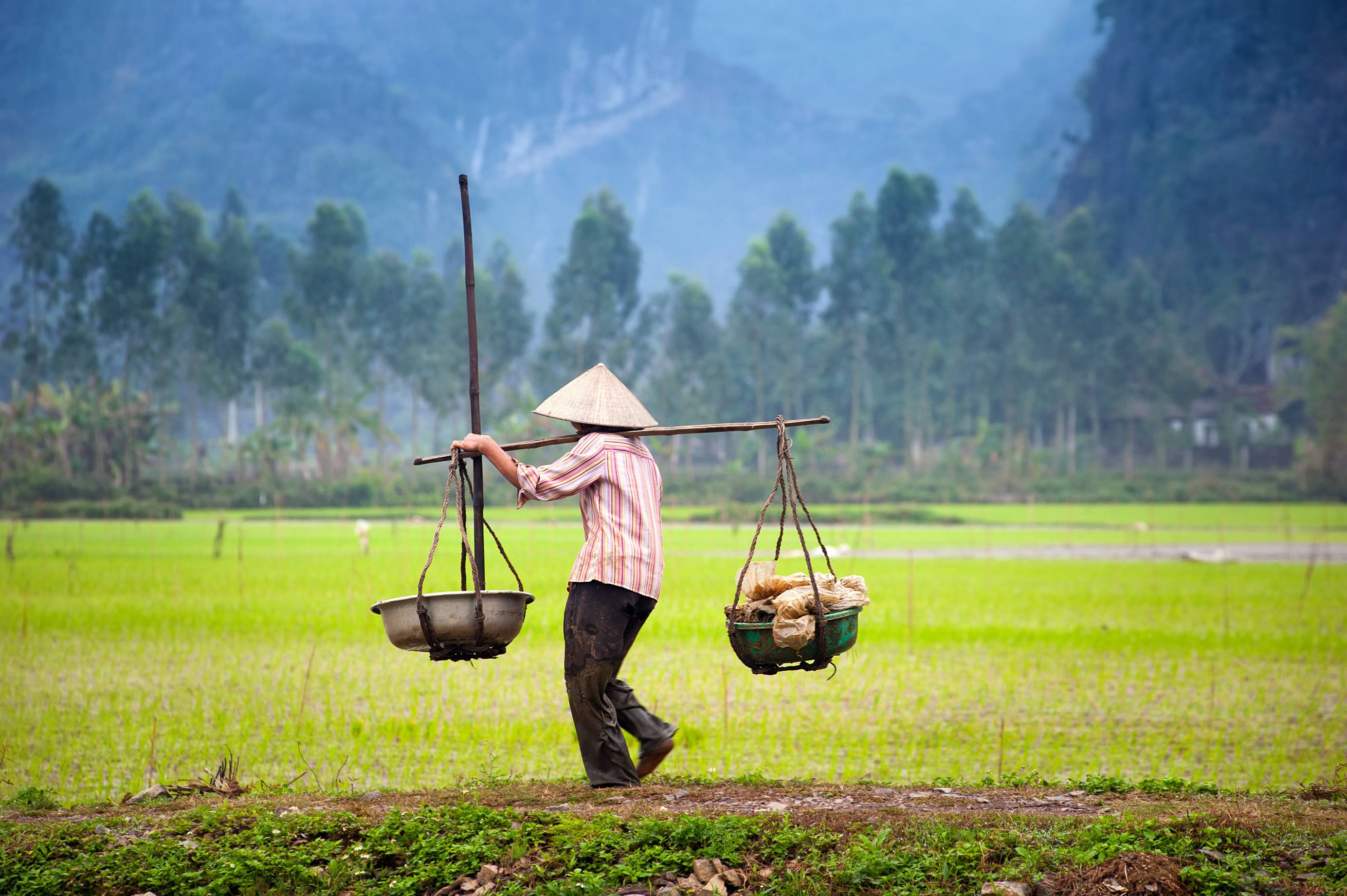 Grands sites du Cambodge et du Laos + Nord Vietnam-Image